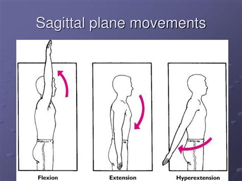 Sagittal Plane Movements Examples