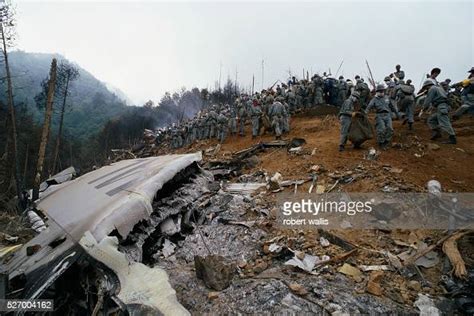 Japan Airlines flight 123 crash site. The Boeing 747SR plane crashed... News Photo - Getty Images