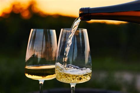 Everything You Need to Know About Chardonnay