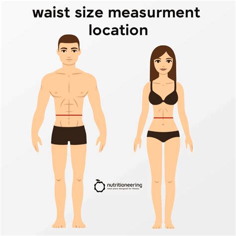 Does 33 Inch Waist = Good Health For Men & Women?