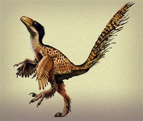 Utahraptor | Theropods Wiki | FANDOM powered by Wikia