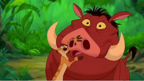 An Ode To Timon and Pumbaa, Comedy and Good Friends | by Samantha Wong ...