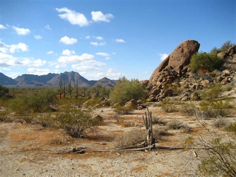 Sonoran Desert | One Earth