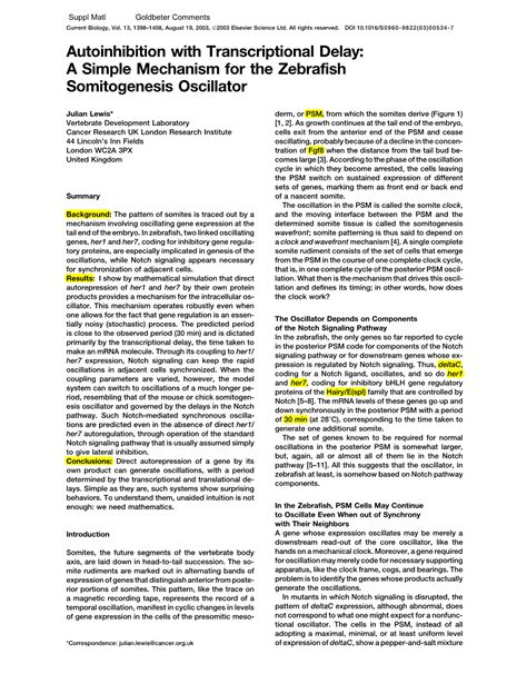 A Simple Mechanism for the Zebrafish Somitogenesis Oscillator - DocsLib