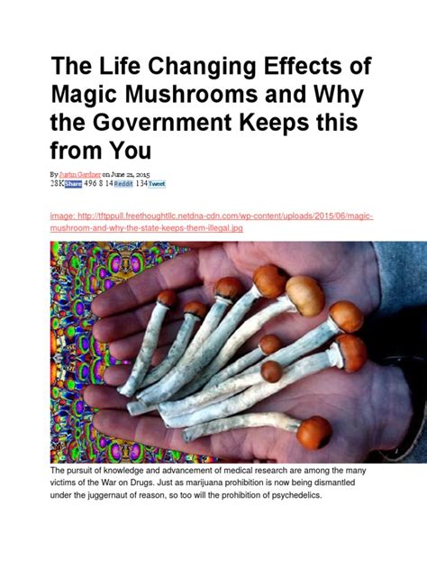 The Life Changing Effects of Magic Mushrooms and Why the Government ...