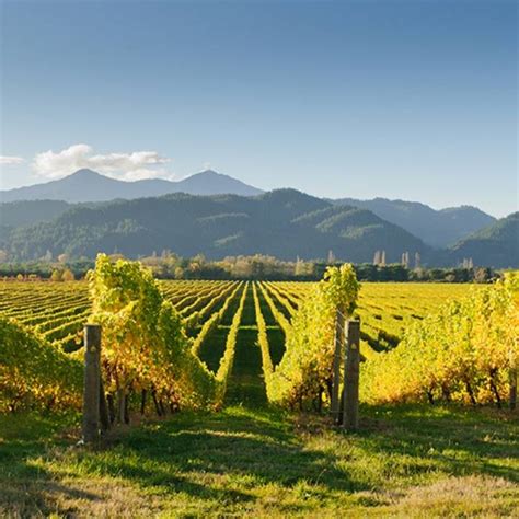 Sonoma County Wineries - Sonoma.com