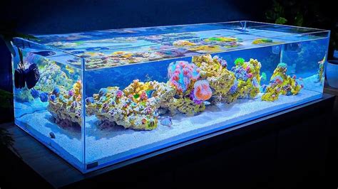 Cool Fish Tanks, Saltwater Fish Tanks, Saltwater Aquarium, Reef Tank ...