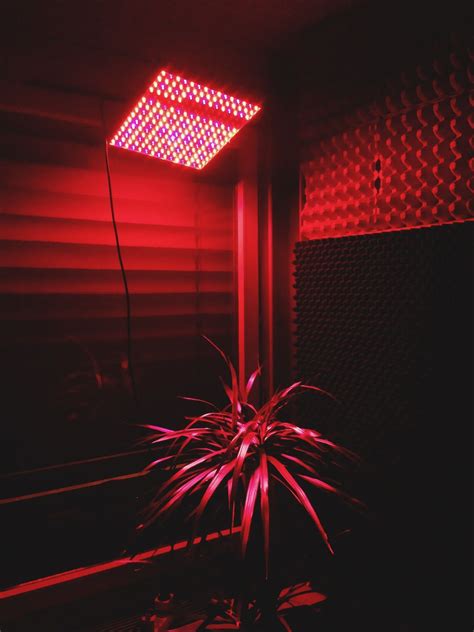 Pin by Elena Parasco on Set | Red aesthetic, Red wallpaper, Neon aesthetic