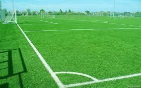 Green Football Ground Turf, Thickness: 50 mm at Rs 135/square feet in ...