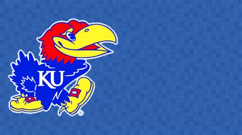 Kansas Jayhawks Football 2024 - Morna Tiertza