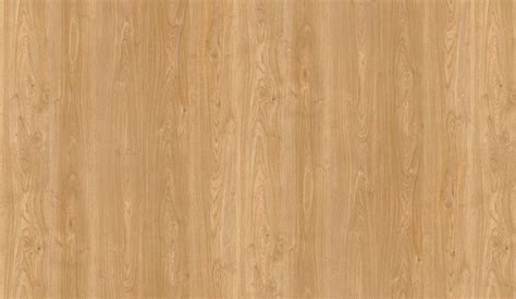 White Oak Wood Texture