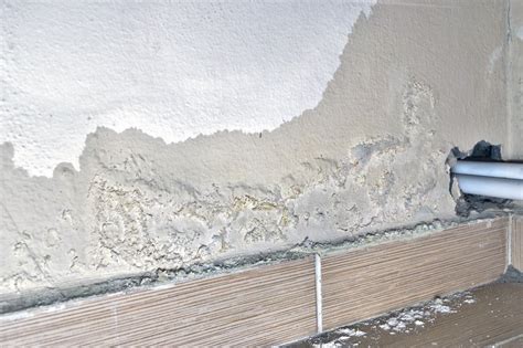 What Causes Mold On Walls Homeselfe