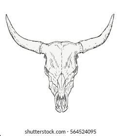 5,547 Cow Skull Drawing Royalty-Free Photos and Stock Images | Shutterstock