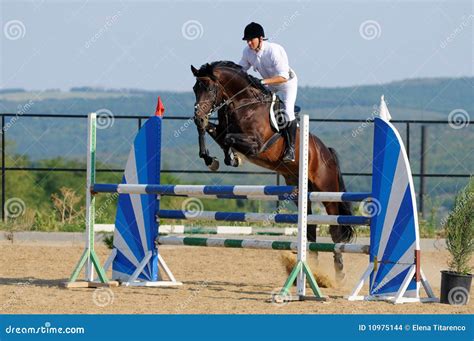 Rider in the jumping show stock photo. Image of costume - 10975144