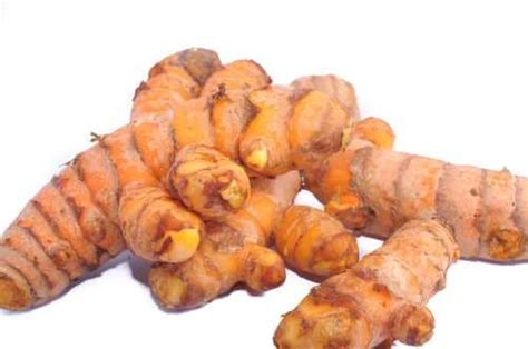 SANE Superfood: Wild Yam Root - SANESolution