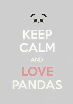 130 Pandas & Hedgehogs ideas | cute animals, panda love, cute hedgehog