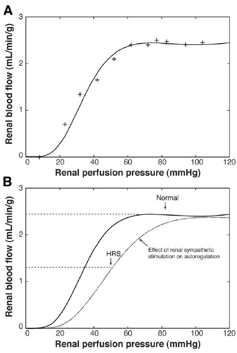 ( A ) Relation of renal blood flow to renal perfusion pressure, using ...