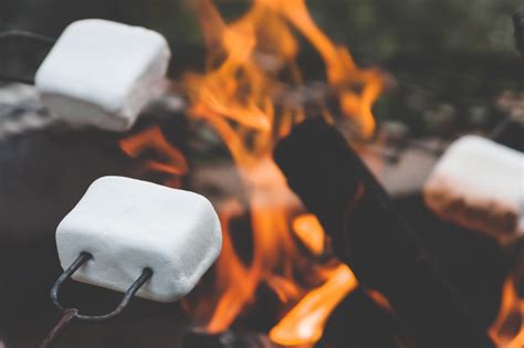 Marshmallows on Camp Fire Royalty-Free Stock Photo