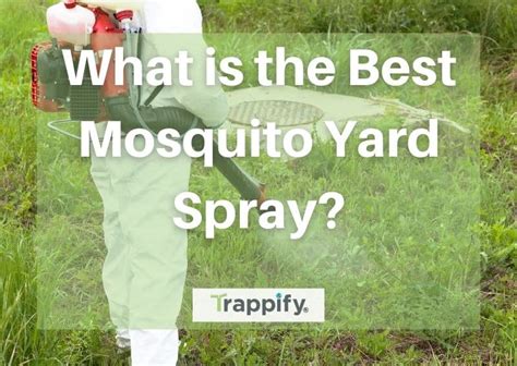 What Is The Best Mosquito Yard Spray?