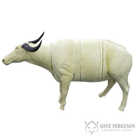 Forms - African / Exotic Species - African / Exotic Forms - Water Buffalo - Ferguson Taxidermy ...