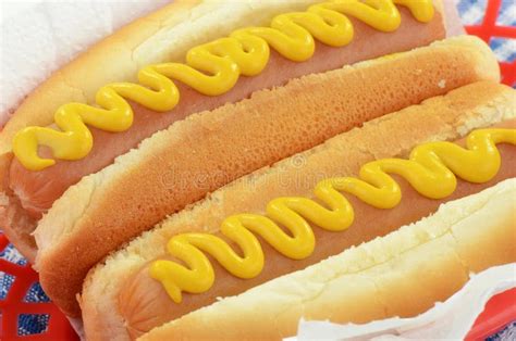 Hot dogs with mustard stock image. Image of yellow, nutrition - 28998117