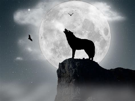 Wolf Howling At The Moon Wallpapers - Wallpaper Cave