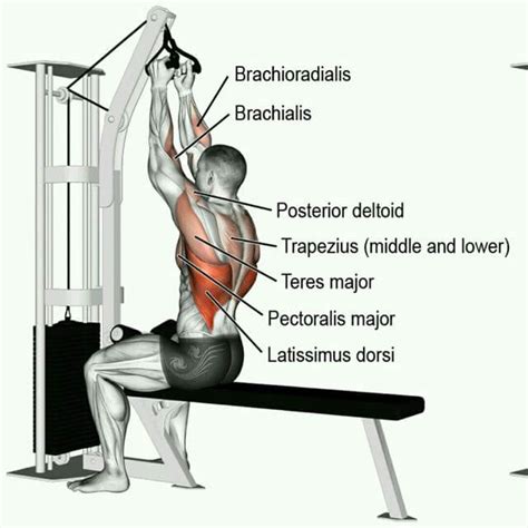 Neutral Grip Lat Pulldown Guide: How-to, Benefits, Alternatives & More