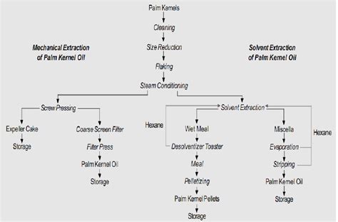 Extraction of palm kernel oil | Download Scientific Diagram