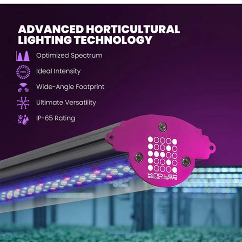 Kind LED Grow Lights: Maximize Your Indoor Gardening