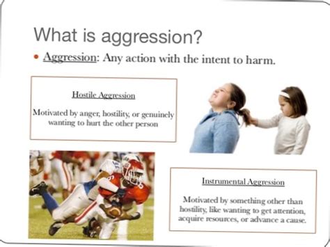 Difference Between Hostile and Instrumental Aggression | Differbetween