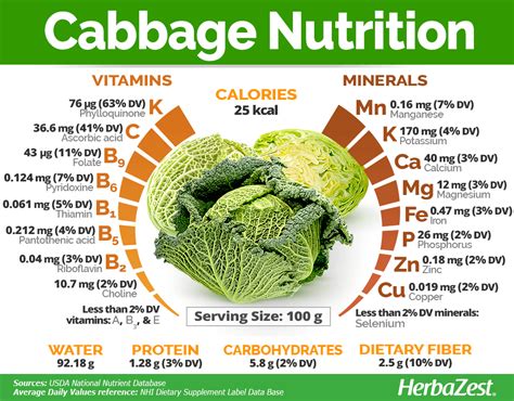 Cabbage Nutrition | Cabbage nutrition, Food health benefits, Nutrition