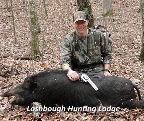 tennessee-hog-hunting | World Class Outdoors