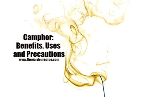 Camphor - Benefits, Uses & Precautions - THE GARDEN RECIPE