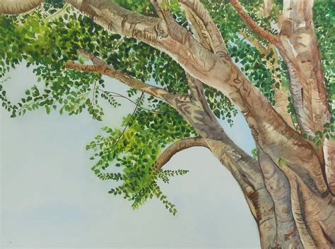 Peepal Tree Watercolor Painting by aakritiarts on DeviantArt