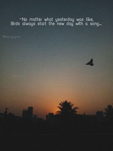 Sunset bird quote🤎 | Cloud quotes, Beautiful quotes, Sunset quotes