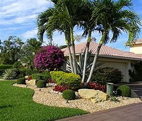 landscape ideas around palm trees - Chauncey Tanner