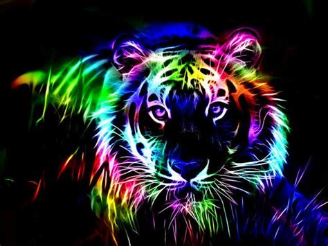 Rainbow Lion Wallpaper - WallpaperSafari