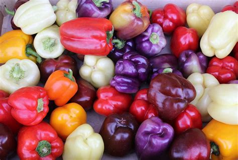 The Many Colors Of Bell Peppers | A Moment of Science - Indiana Public Media