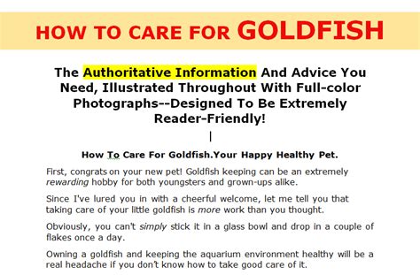 1 – How to take care of goldfish