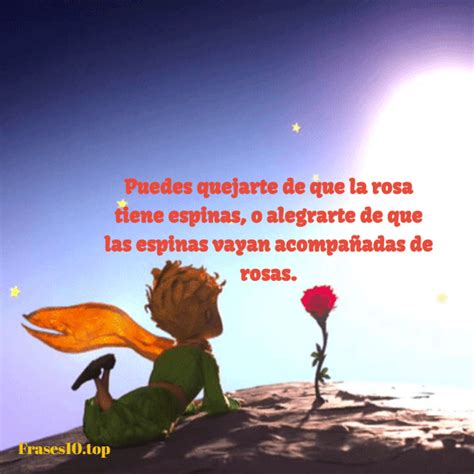 Frases de Reflexión Cortas de la Vida Real