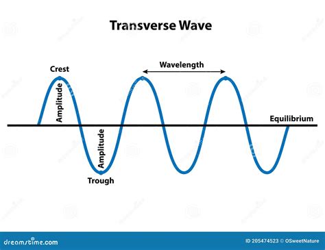 Great Tips About How To Draw Transverse Waves - Aidcreative