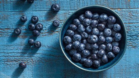 Planting Blueberries - Blueberry.org