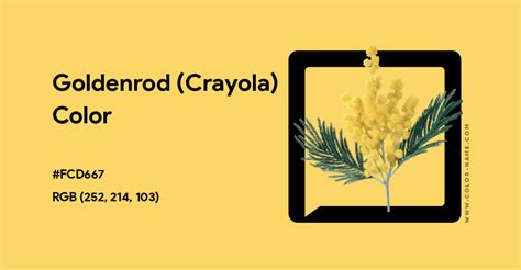 Goldenrod (Crayola) color hex code is #FCD667