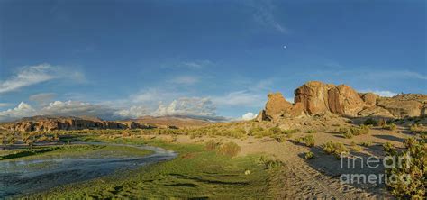 Atacama Desert Oasis Photograph by Brian Kamprath - Pixels