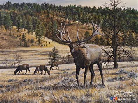 Elk Print Imperial Majesty Elk Art Elk Painting Elk Hunting Imperial ...