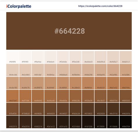 Van Dyke Brown information | Hsl | Rgb | Pantone