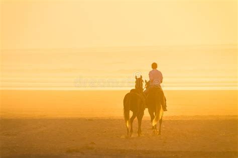 Horse Riding on the Beach at Sunset. Stock Photo - Image of lifestyle ...