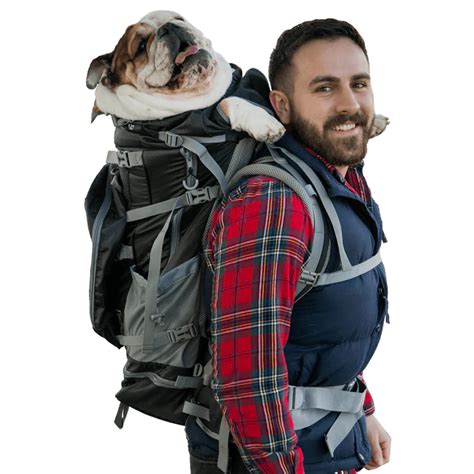 Buy K9 Sport Sack | Kolossus Dog Carrier Backpack for Small and Medium ...