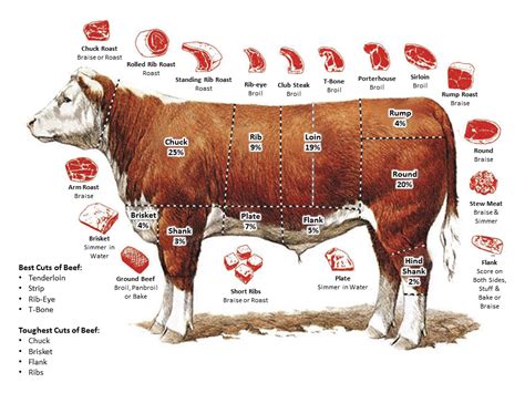 The Best and Worst Cuts of Beef