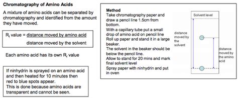 3 Chromatography involving amino acids